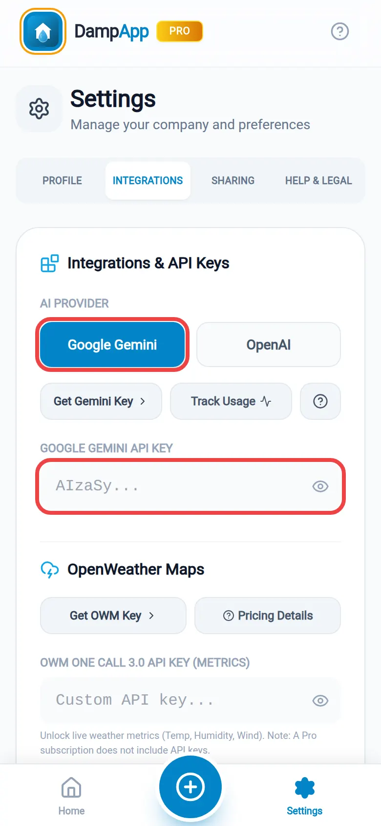The Google Gemini button and the Google Gemini API Key box, both ringed in red