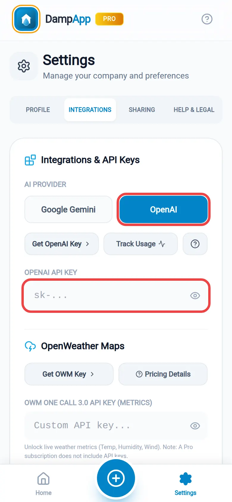 The OpenAI button and the OpenAI API Key box, both ringed in red